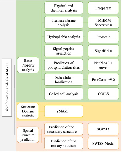 Figure 1.