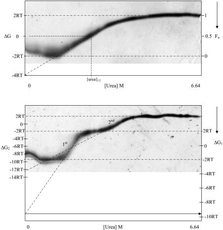 FIG. 2.