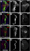 Fig. 4.