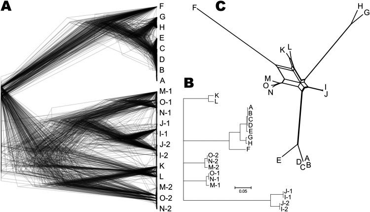 FIG 1