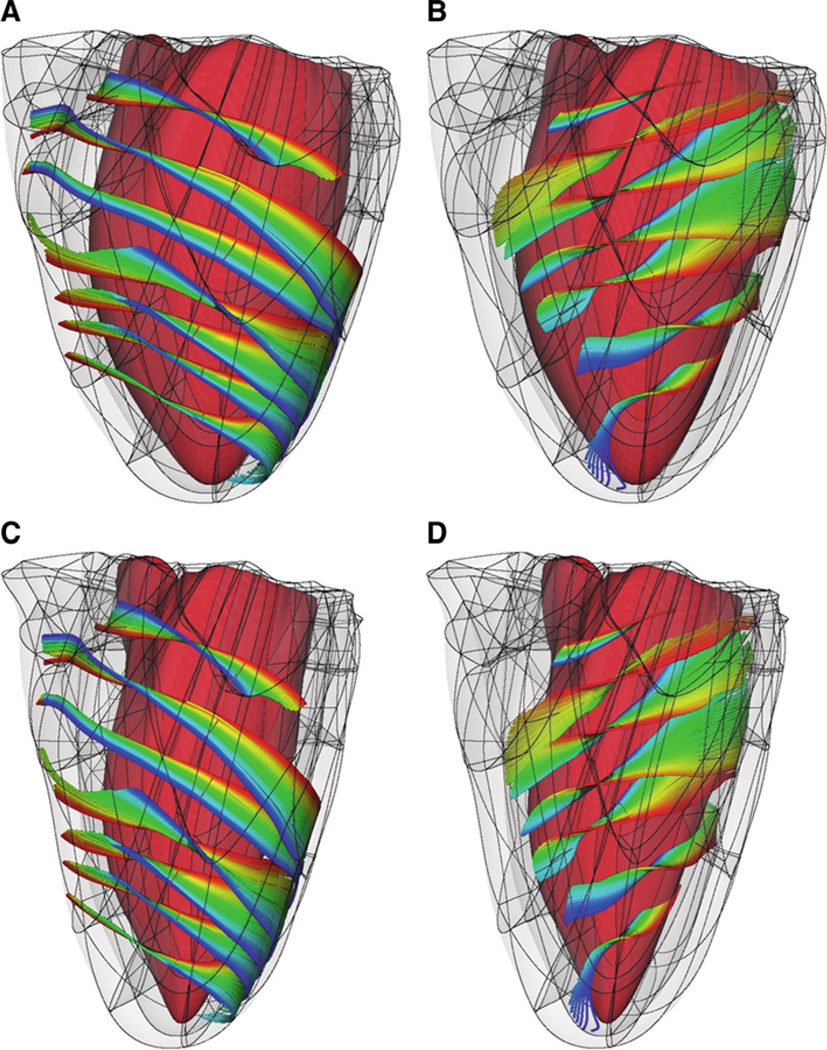 Fig. 5