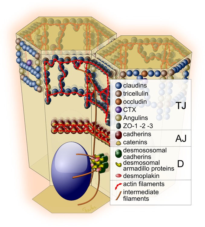 Figure 1.