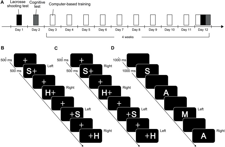 FIGURE 1