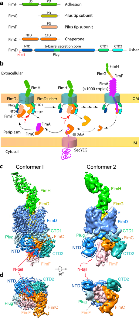 Figure 1.