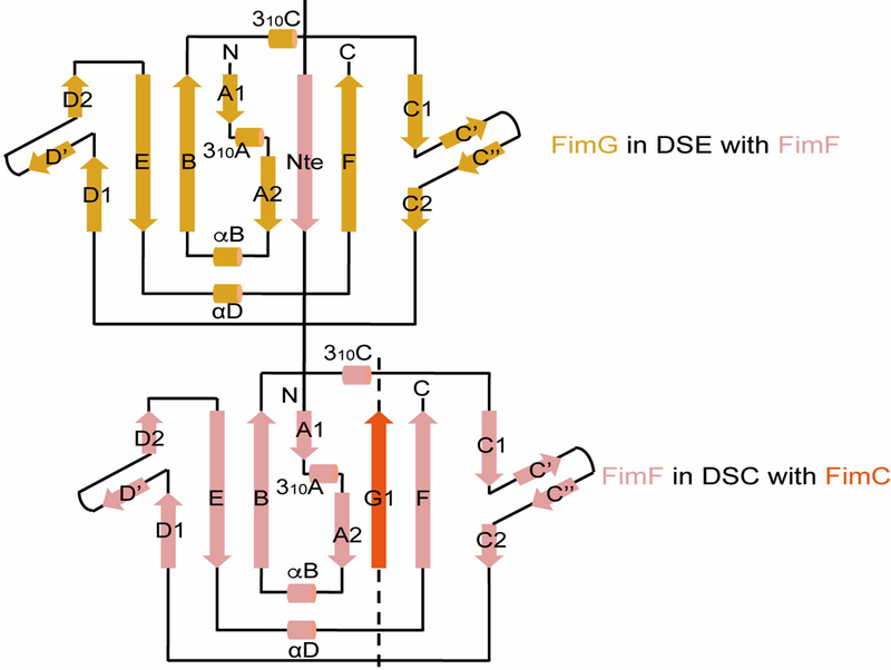 Extended Data Figure 1.