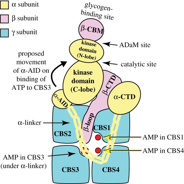 Figure 1.