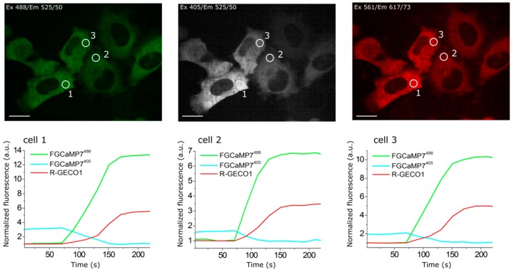 Figure 2