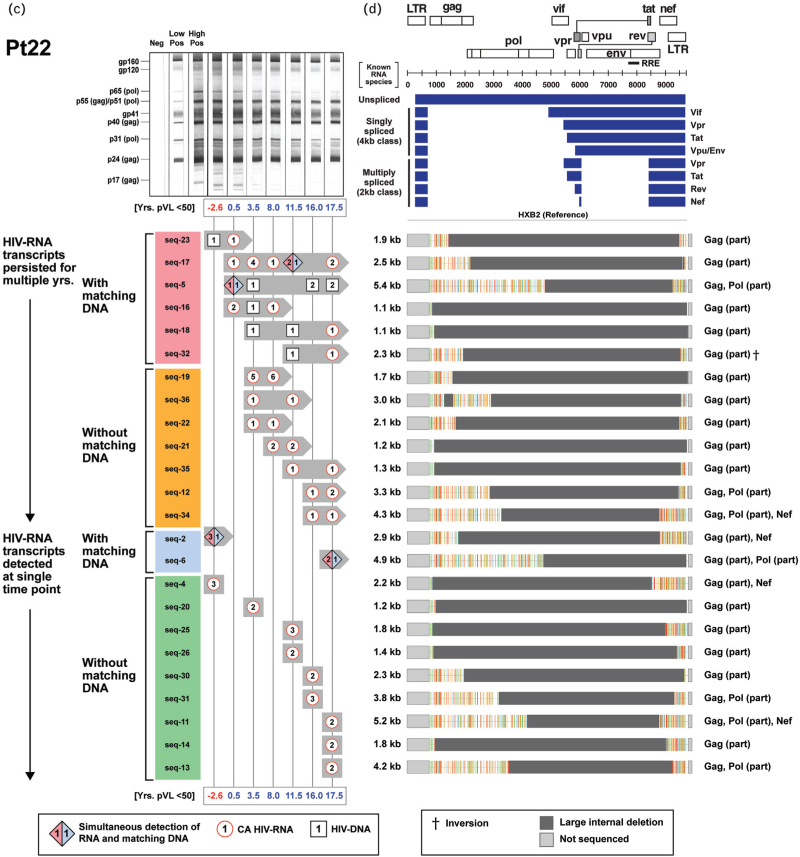 Fig. 2 (Continued)