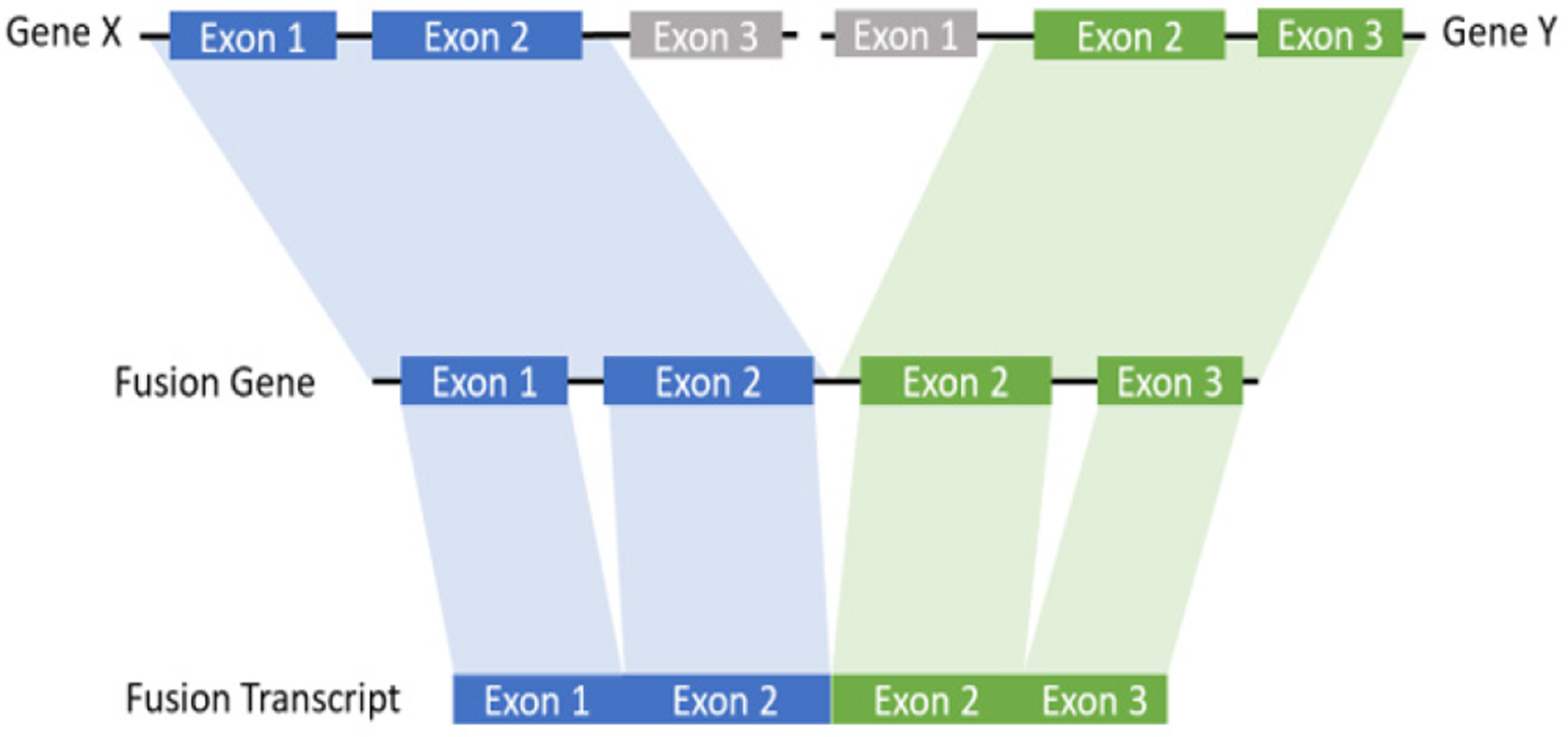 Figure 2: