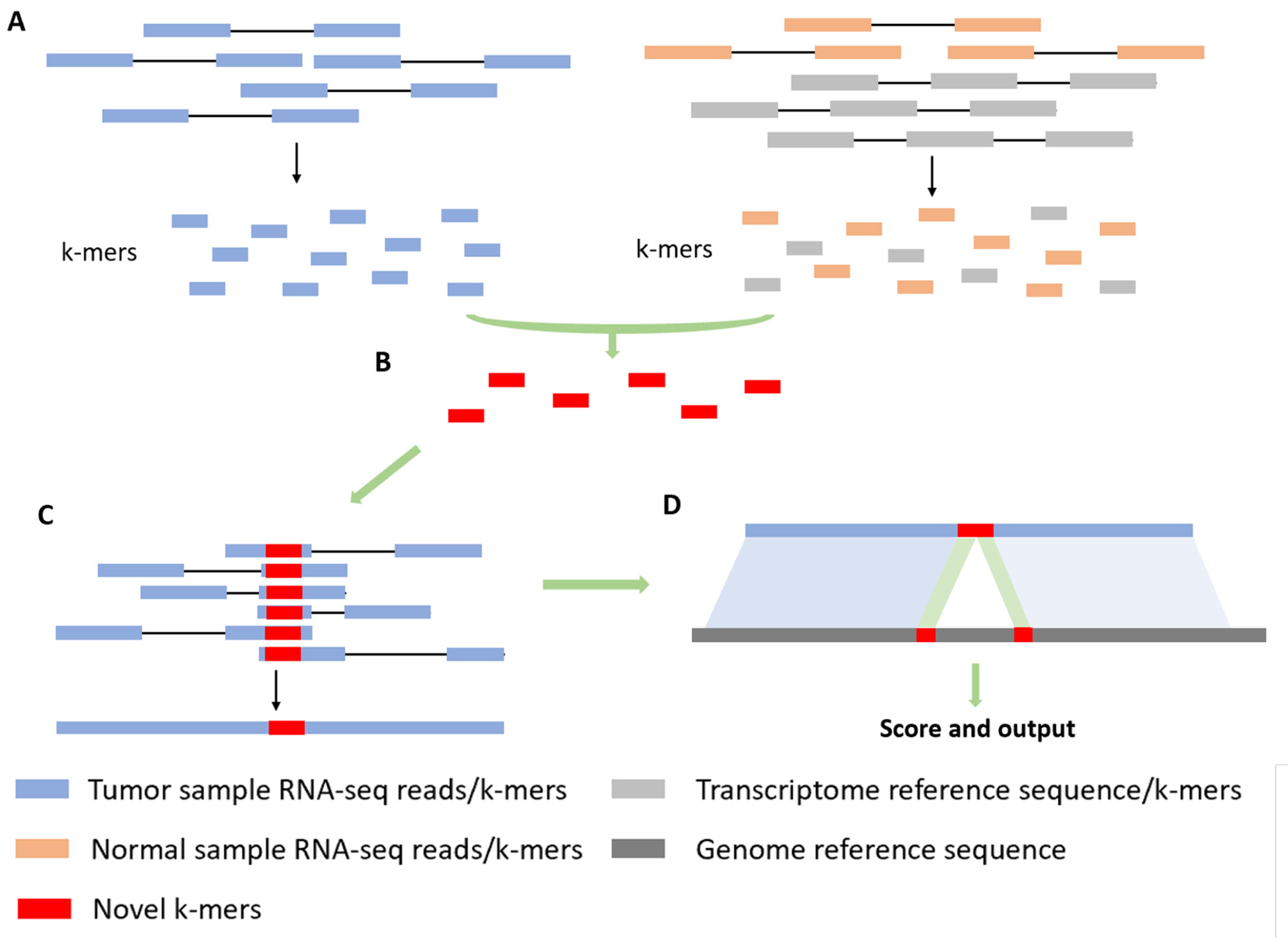 Figure 3: