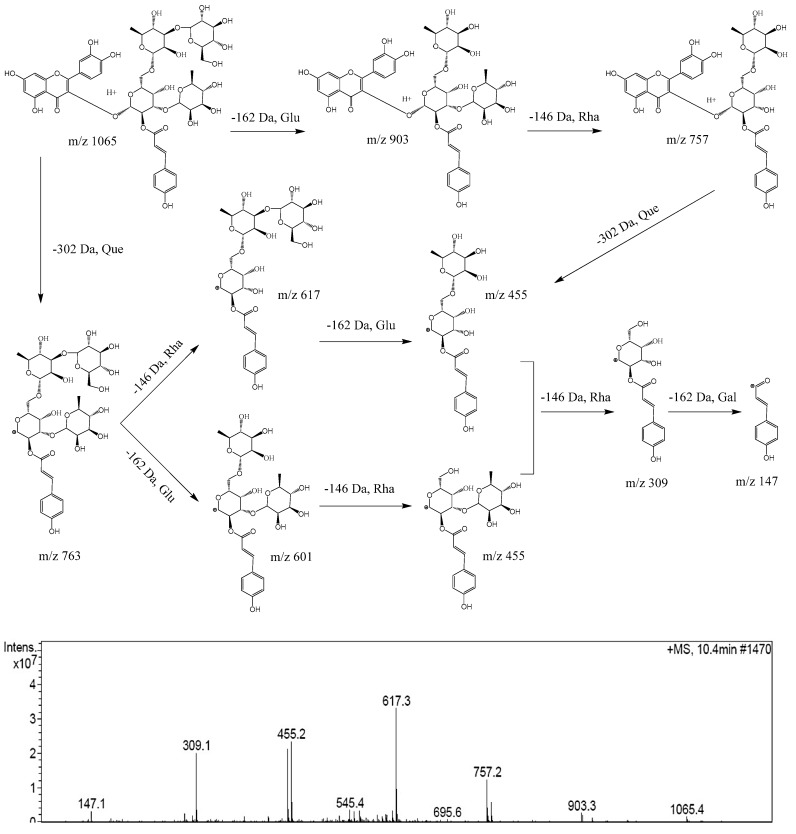 Figure 2