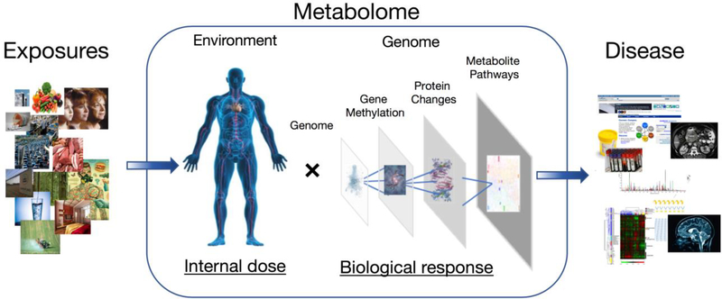 Figure 1: