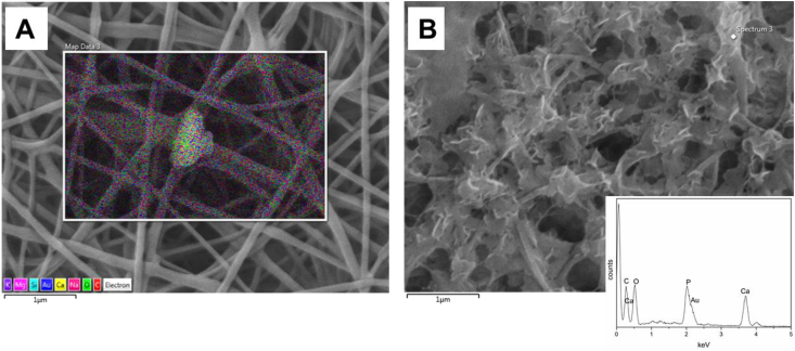 Fig. 7