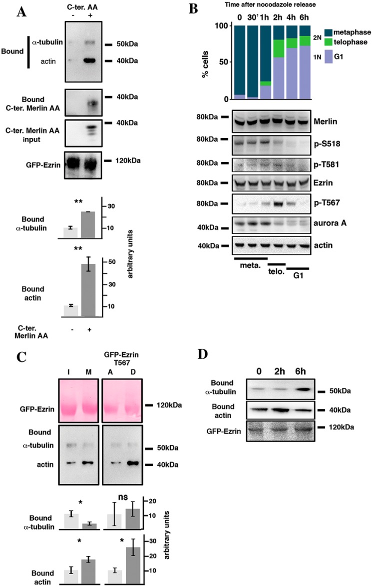 Figure 5.