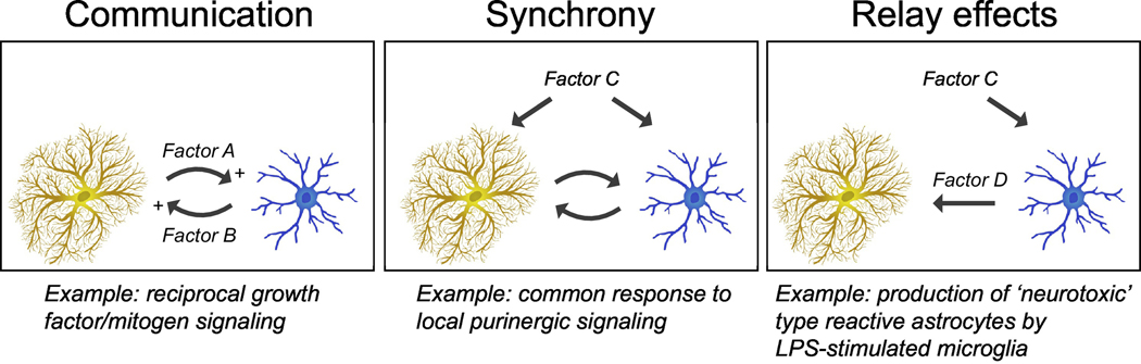 Figure 2: