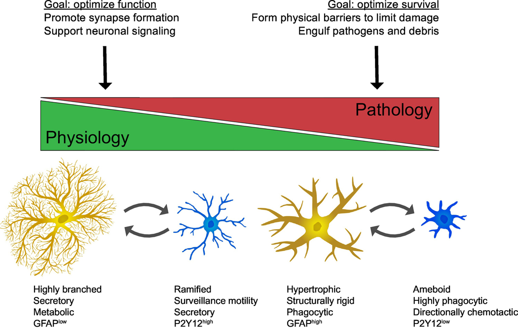 Figure 1: