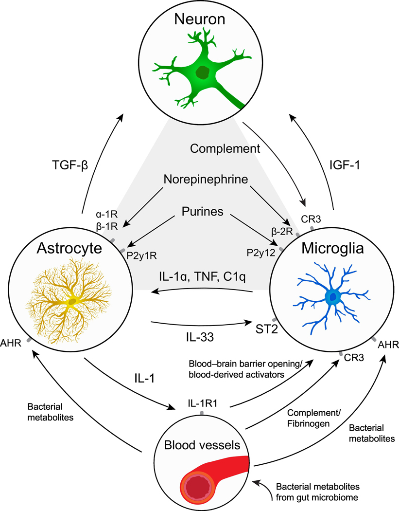 Figure 3: