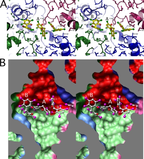 FIGURE 5.