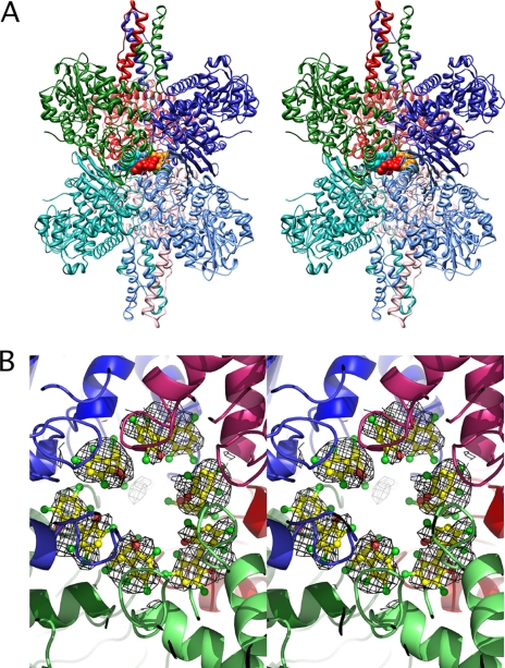 FIGURE 4.