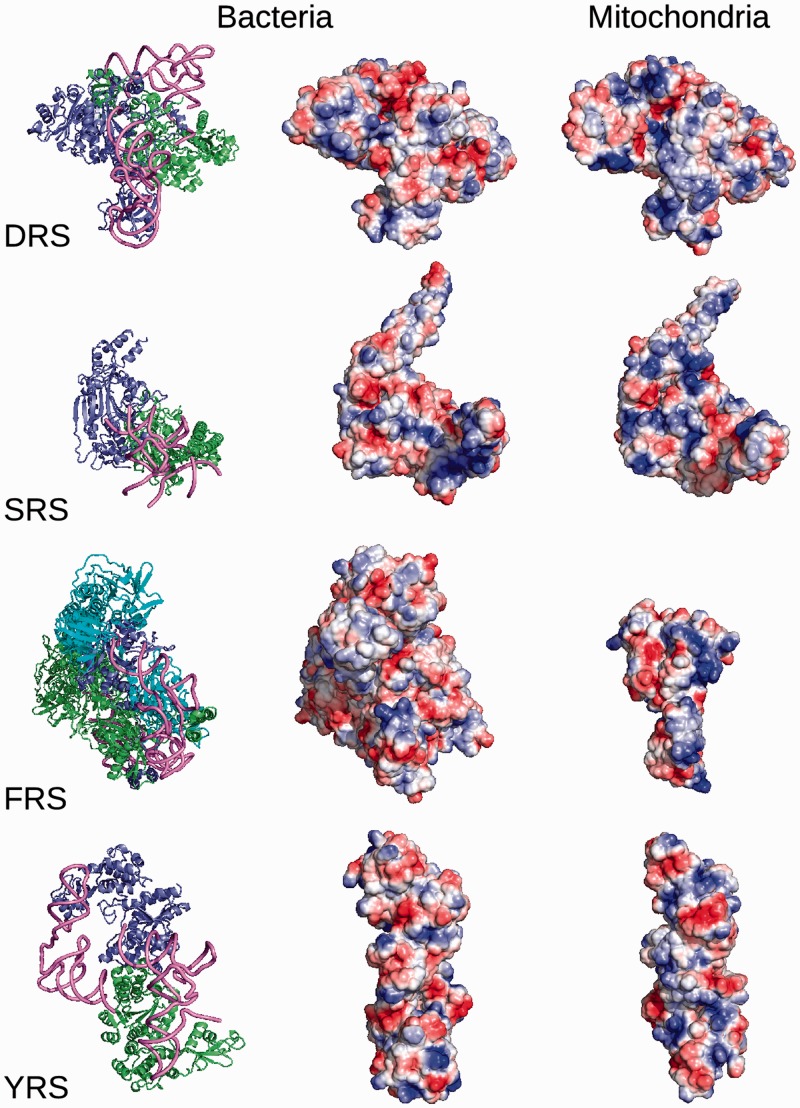 Figure 5.