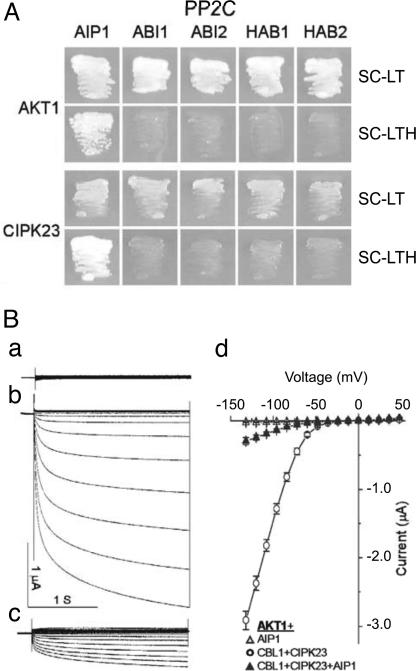 Fig. 6.