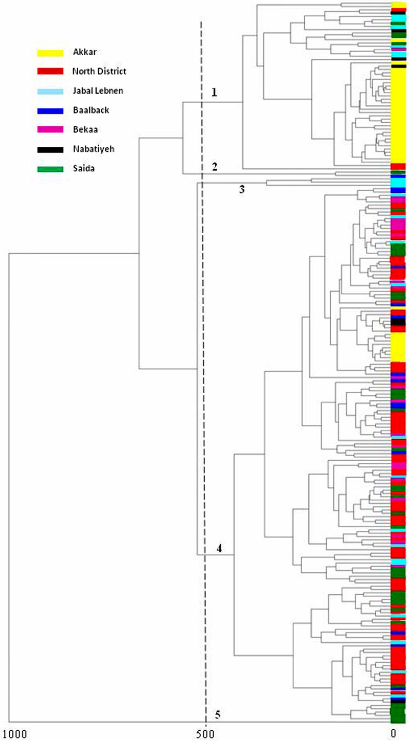 FIGURE 2