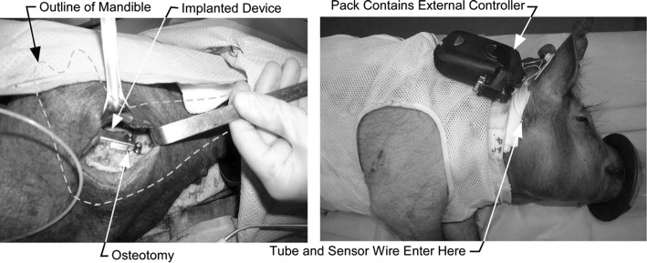 Fig. 3