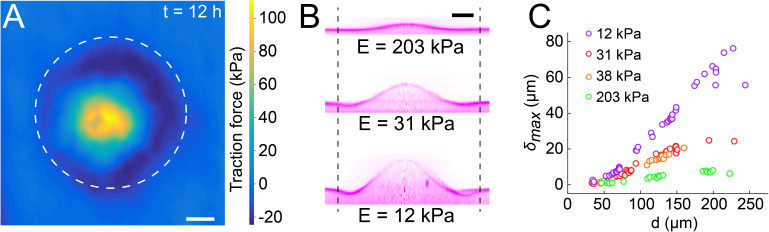 Figure 5.