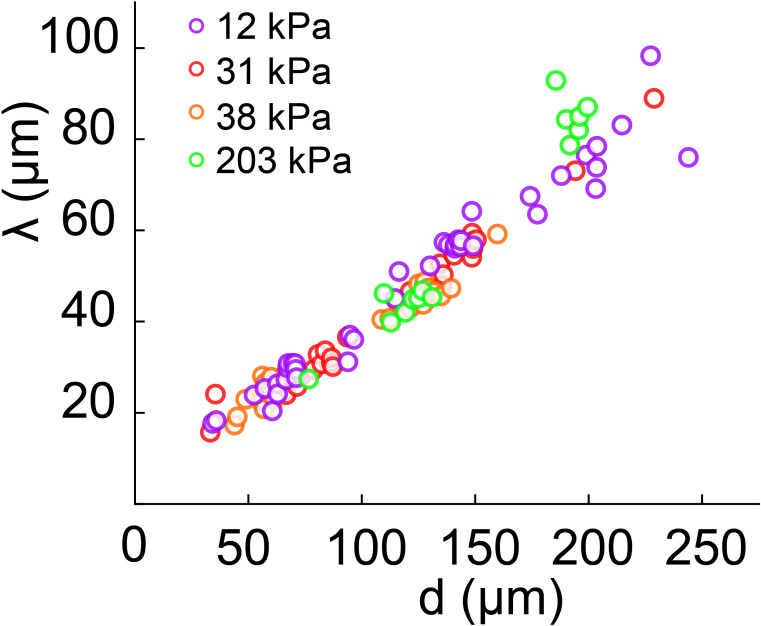 Figure 5—figure supplement 1.