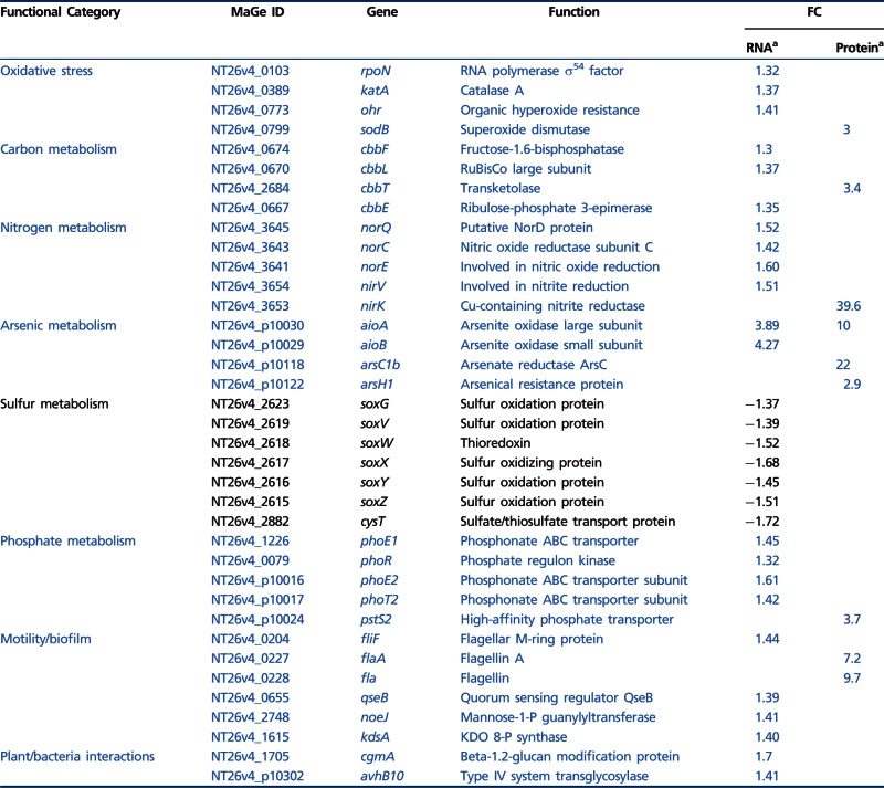 graphic file with name evt061i1.jpg