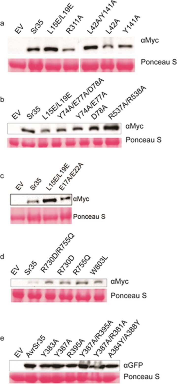 Extended Data Fig. 3