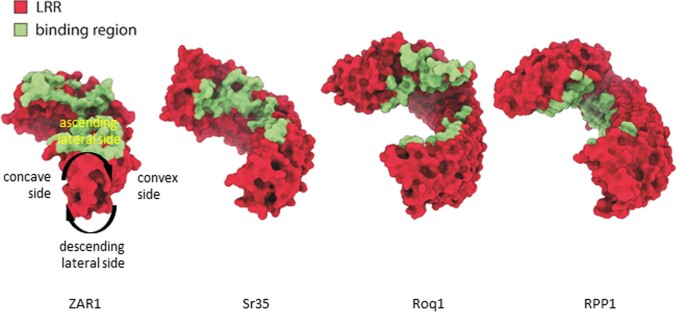 Extended Data Fig. 9