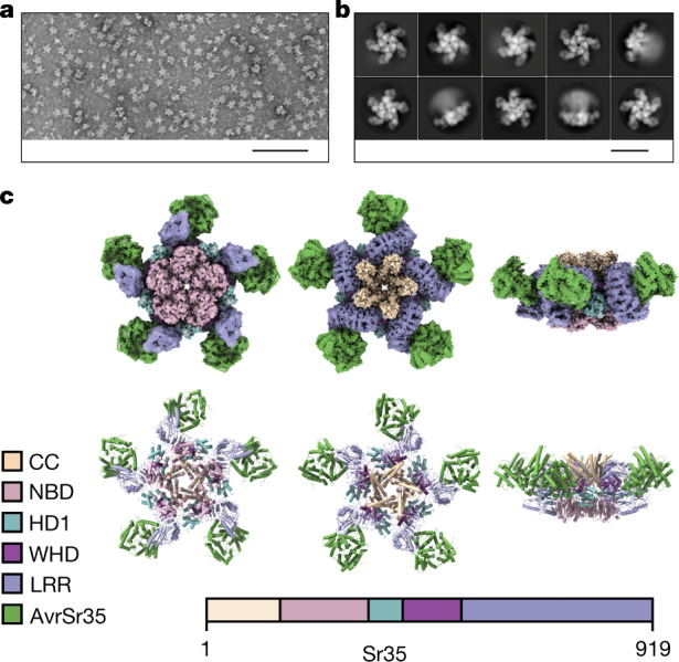 Fig. 1