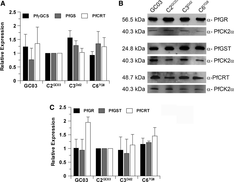 FIG. 4.