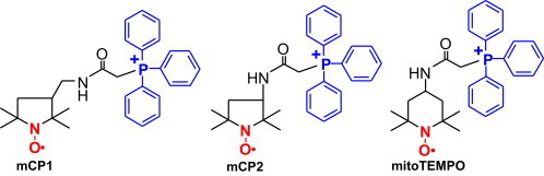 Fig. 1