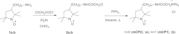 Fig. 2