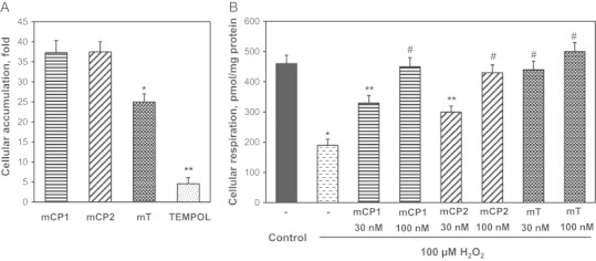 Fig. 4