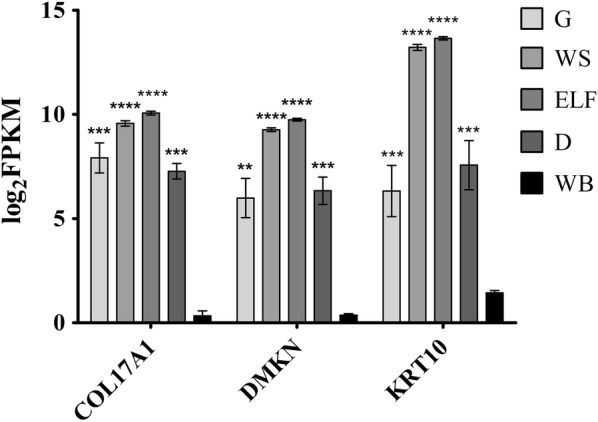 Fig. 3