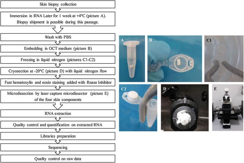 Fig. 4