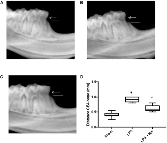 FIGURE 2