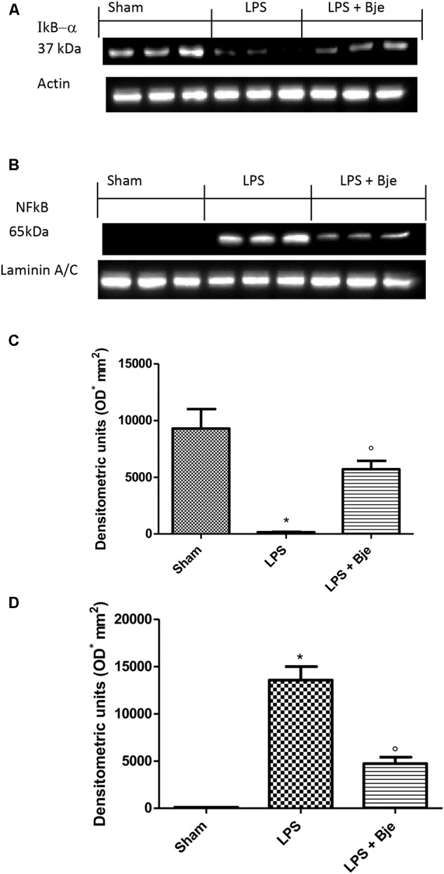 FIGURE 4