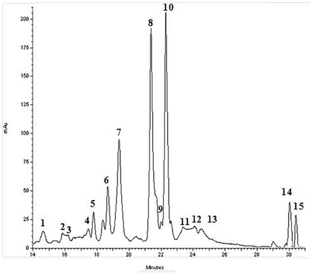 FIGURE 1