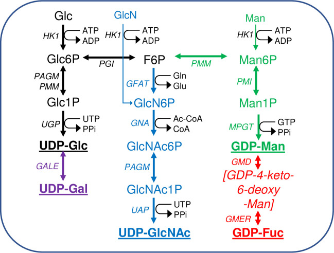 Fig 1