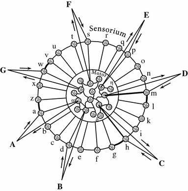 Fig. 2