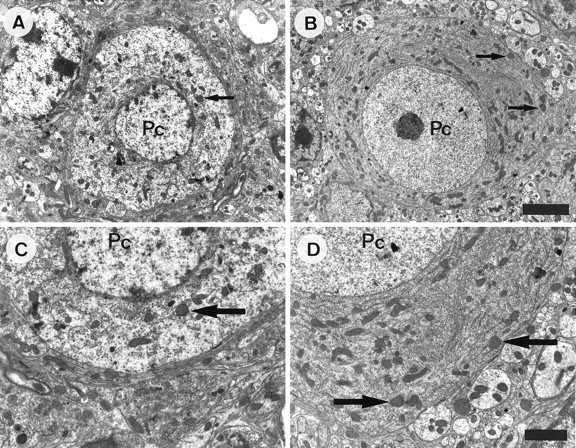 Fig. 5.