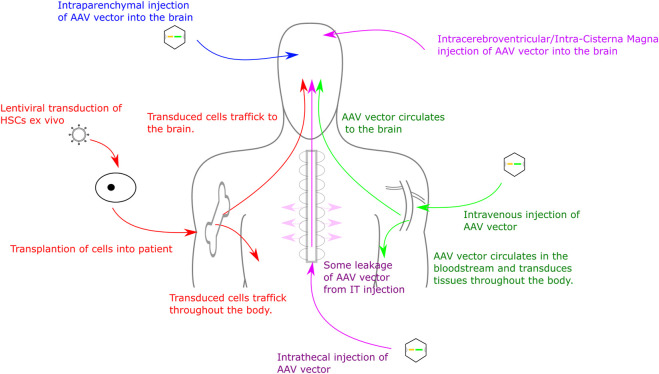 FIGURE 1