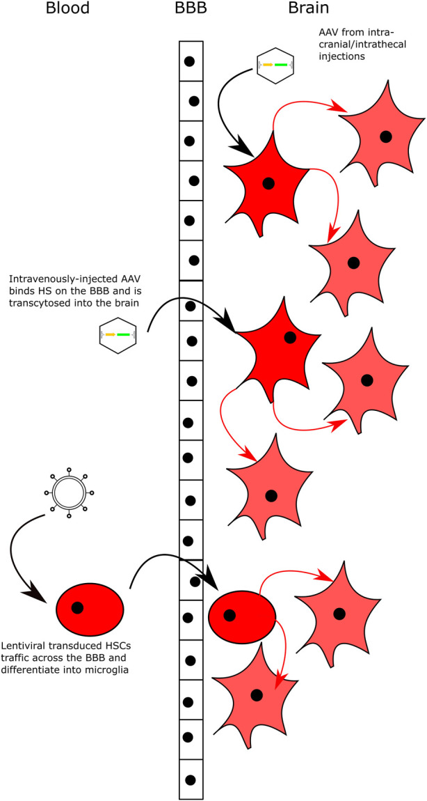 FIGURE 3