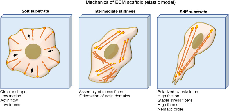 FIG. 5.