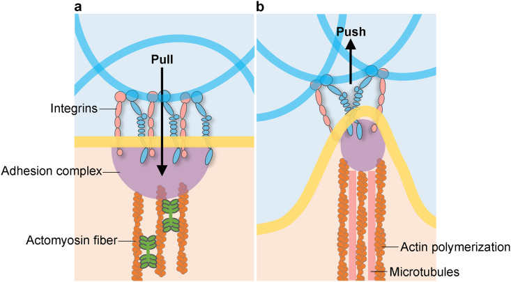 FIG. 4.