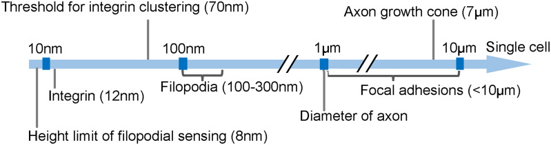 FIG. 6.